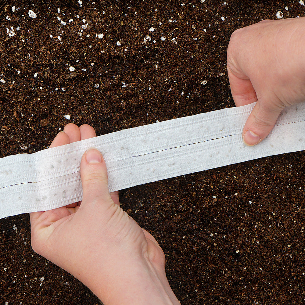 Place your seed tape into your prepared garden.