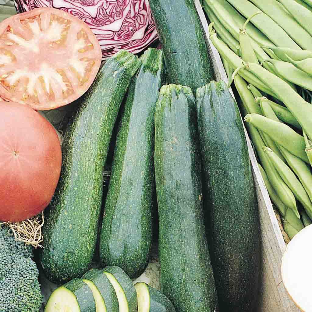 Black Beauty Squash seeds fully grown and matured, freshly harvested.