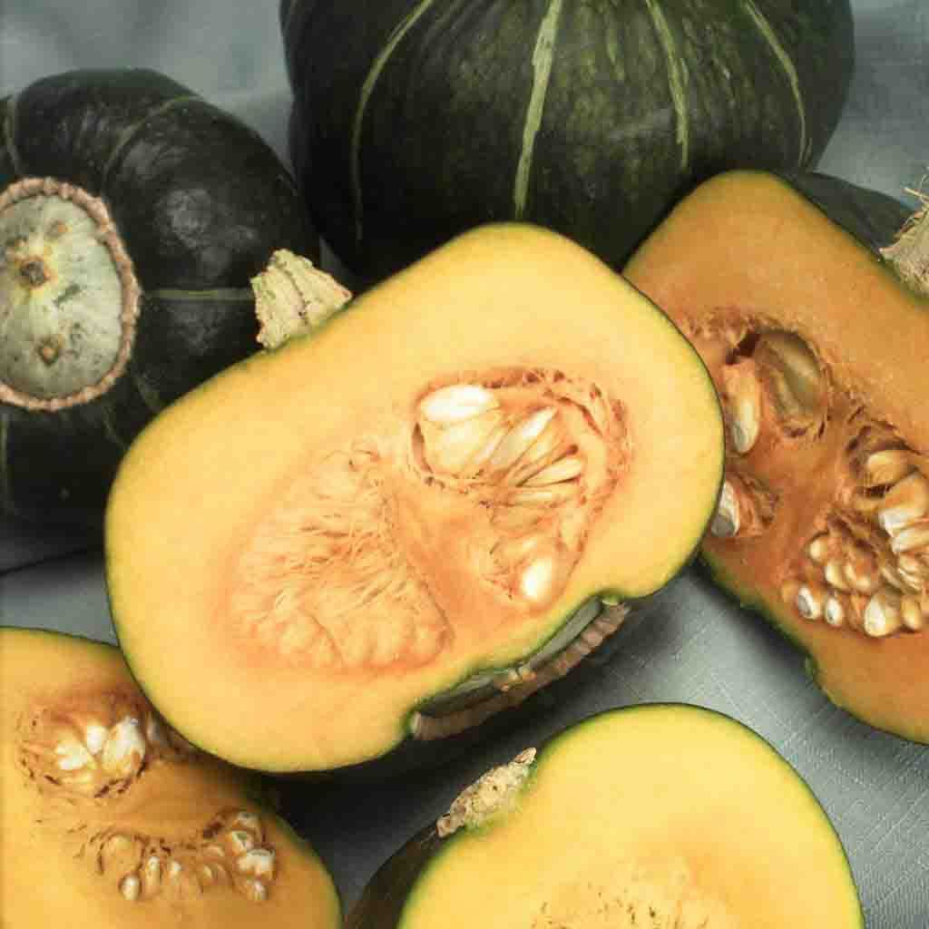 Heirloom Buttercup Squash Seeds grown into matured and freshly harvested buttercup squash. Picture shows 4 buttercup squash with two of those buttercup squash being cut in half to show their juicy sweet orange flesh.