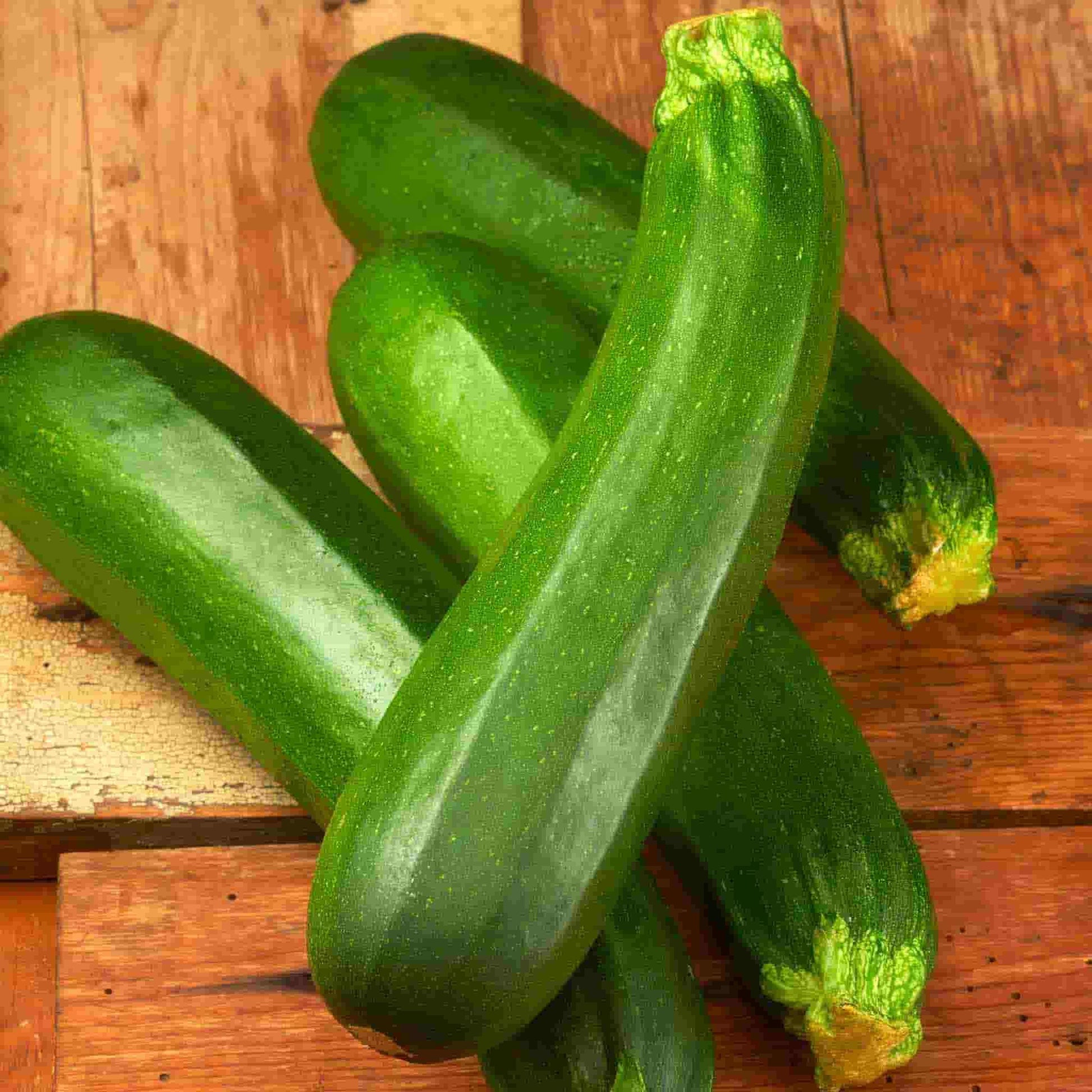 Dark Green Zucchini squash harvested and ready for cooking.
