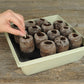 Sow your seeds, which are not included, into the expanded peat pellets according to the instructions on your seeds packet.