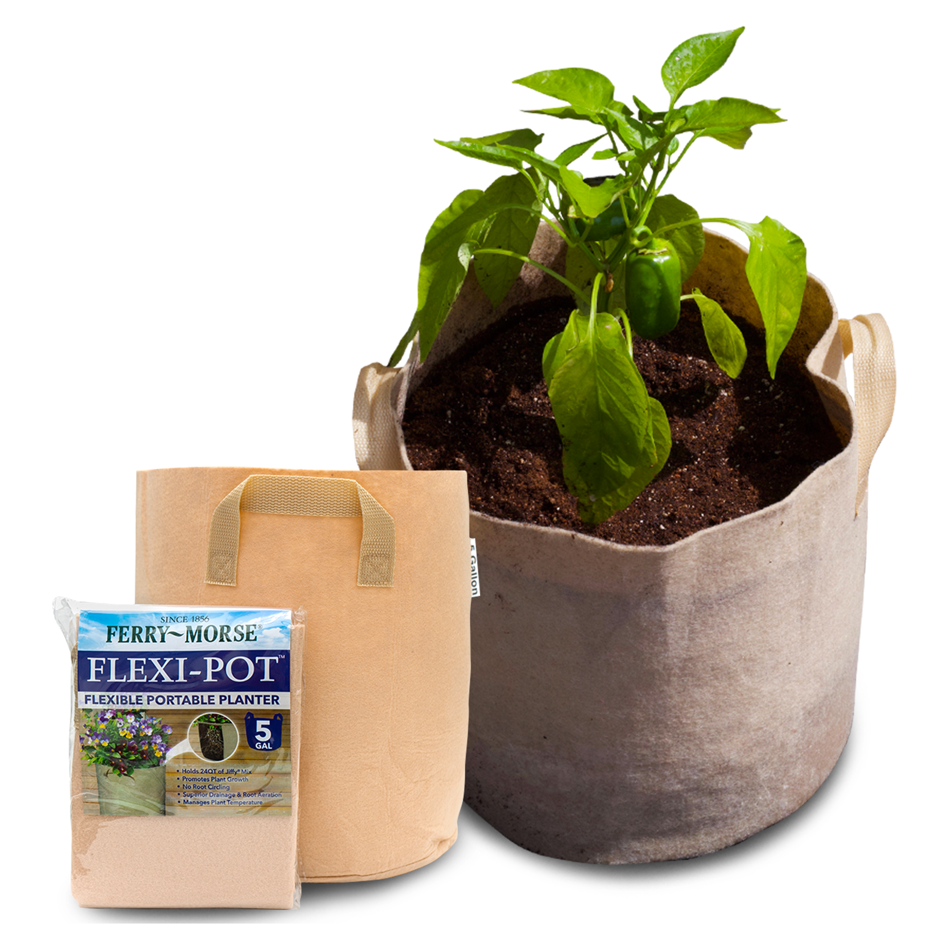 Ferry-Morse Flexible Fabric Planter with Handles for easily growing and transporting your plants outdoors.