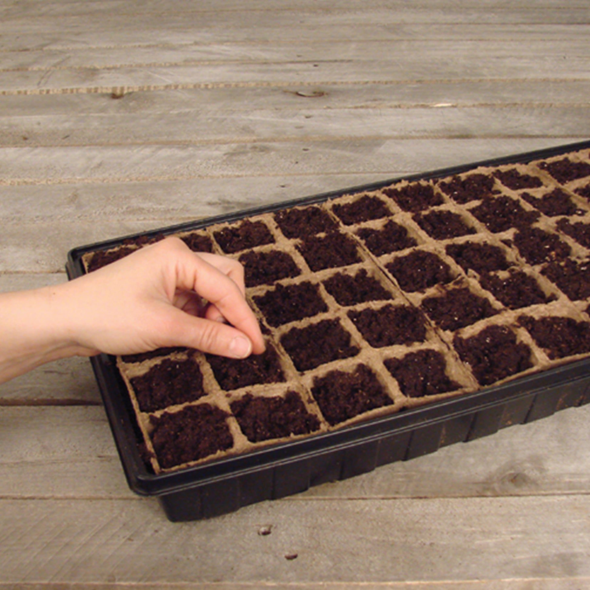 Jiffy Strips Seed Starting Greenhouse with Watertight Base Tray and Clear Plastic Humidity Dome_picture shows person sowing seeds in growing medium (seeds and growing medium sold separately).