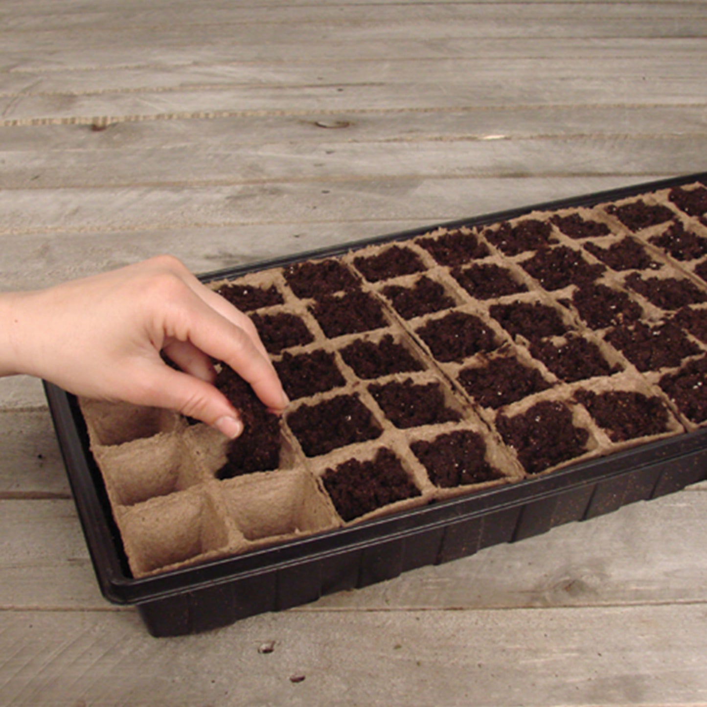 Add sowing medium to your peat strips.