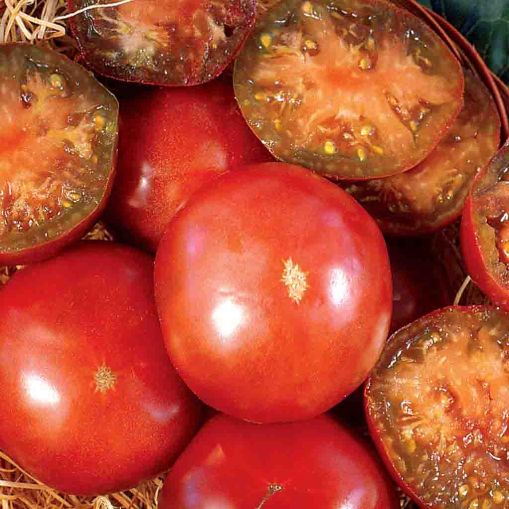 Black Krim Heirloom Tomatoes seeds Ferry Morse — tomatoes closeup and freshly picked.