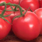 Heirloom Box Car Willie Tomato Seeds from Ferry Morse