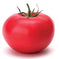 Tomato, Garden Leader Monster Annual Vegetable Seeds – Ferry-Morse