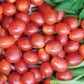 Hybrid Jelly Bean Tomato seeds fully grown and harvested. Red and ready for eating!