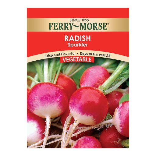 Radish Seeds, Sparkler