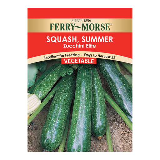 Squash Seeds, Zucchini Elite