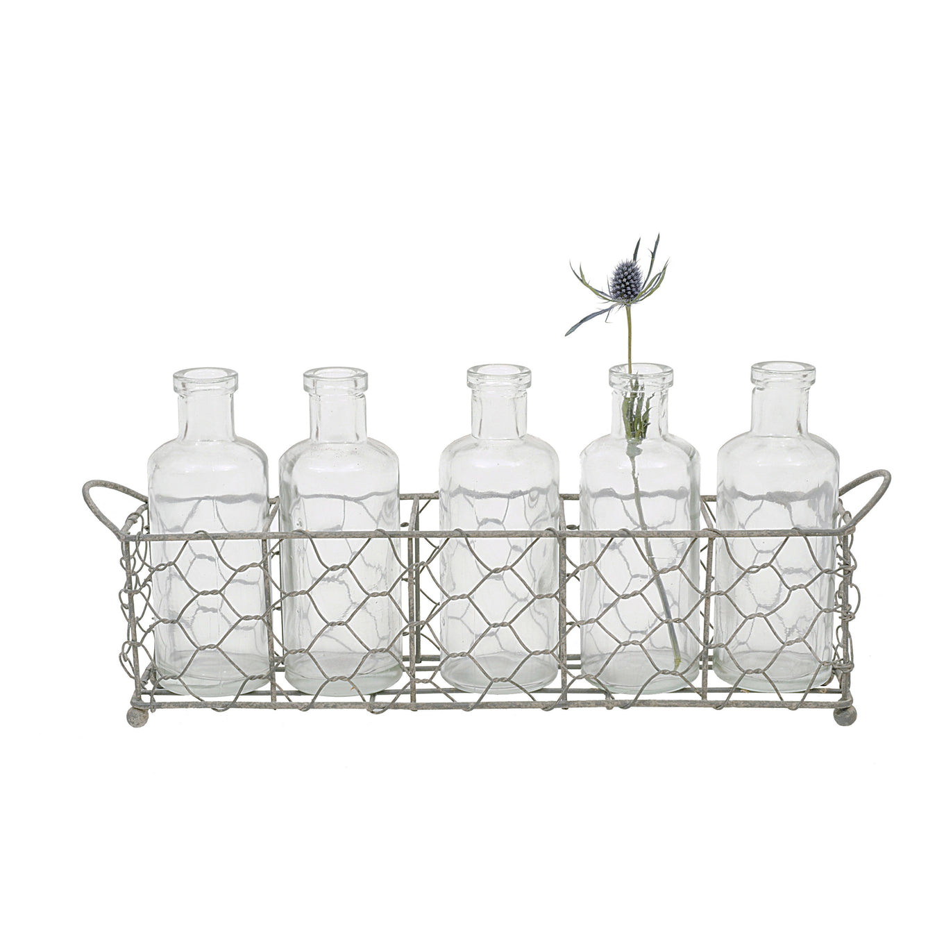 Wire Holder with 5 Glass Vase Bottles