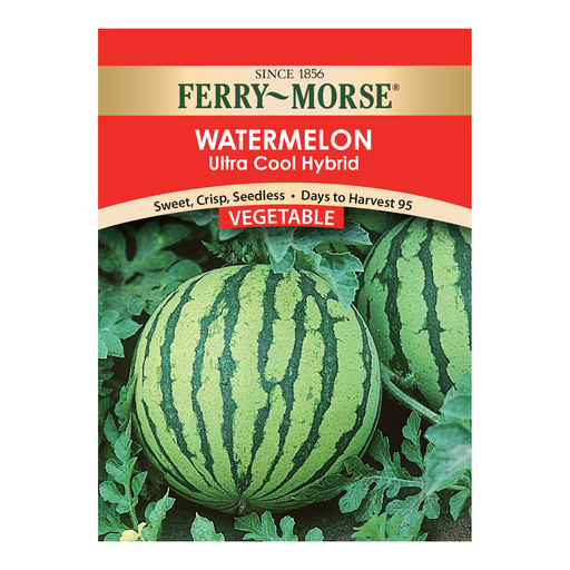 Watermelon Seeds, Ultra Cool Hybrid
