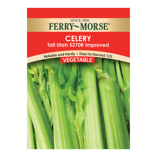 Celery Seeds, Tall Utah 5270R Improved