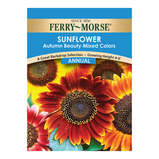 Autumn Beauty Sunflower Seeds, Mixed Colors – Ferry-Morse Home Gardening