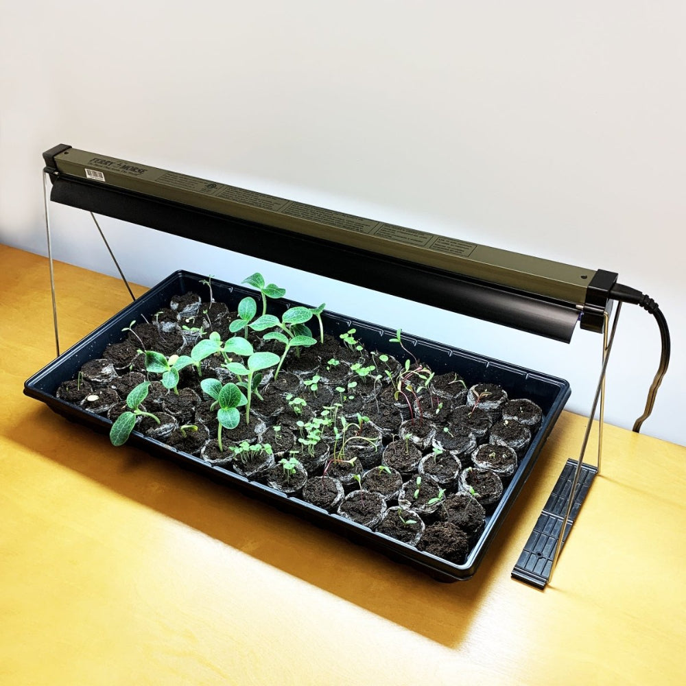 where to buy indoor plant seeds Complete Indoor Growing Seed Starting Kit Annual Flower Seeds from Ferry-Morse Seeds