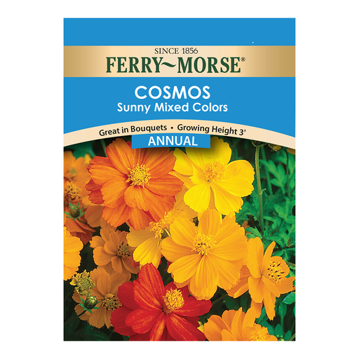 Cosmos, Sunny Mixed Colors Seeds