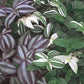 Inchplant Tradescantia Zebrina Plantlings+Plus Live Baby Plants 4in. Pot, 2-Pack