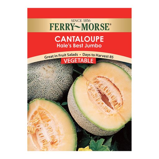 dagboek negeren keten Cantaloupe Seeds, Hale's Best Jumbo – Ferry-Morse Home Gardening | Since  1856