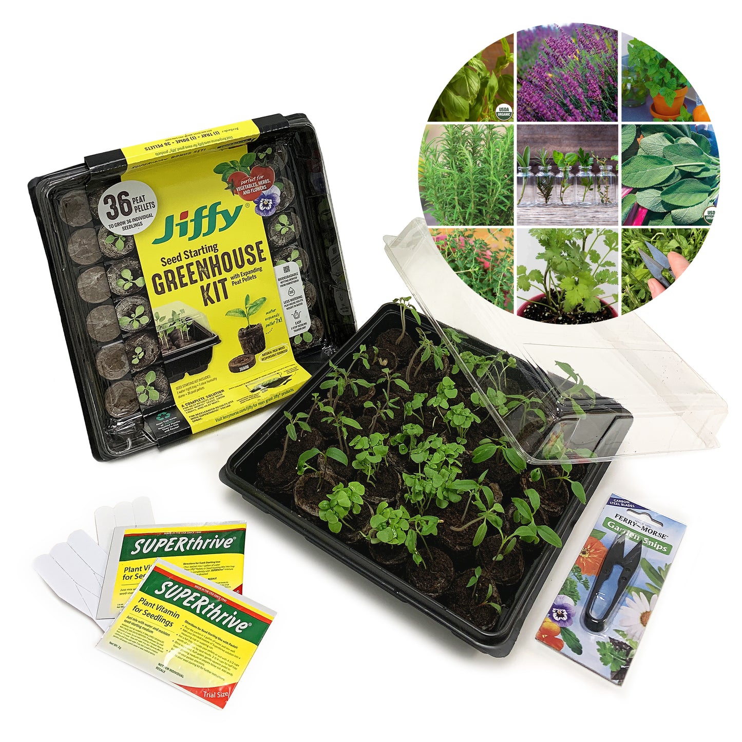Grow-Your-Own Aromatherapy Herb Garden Kit