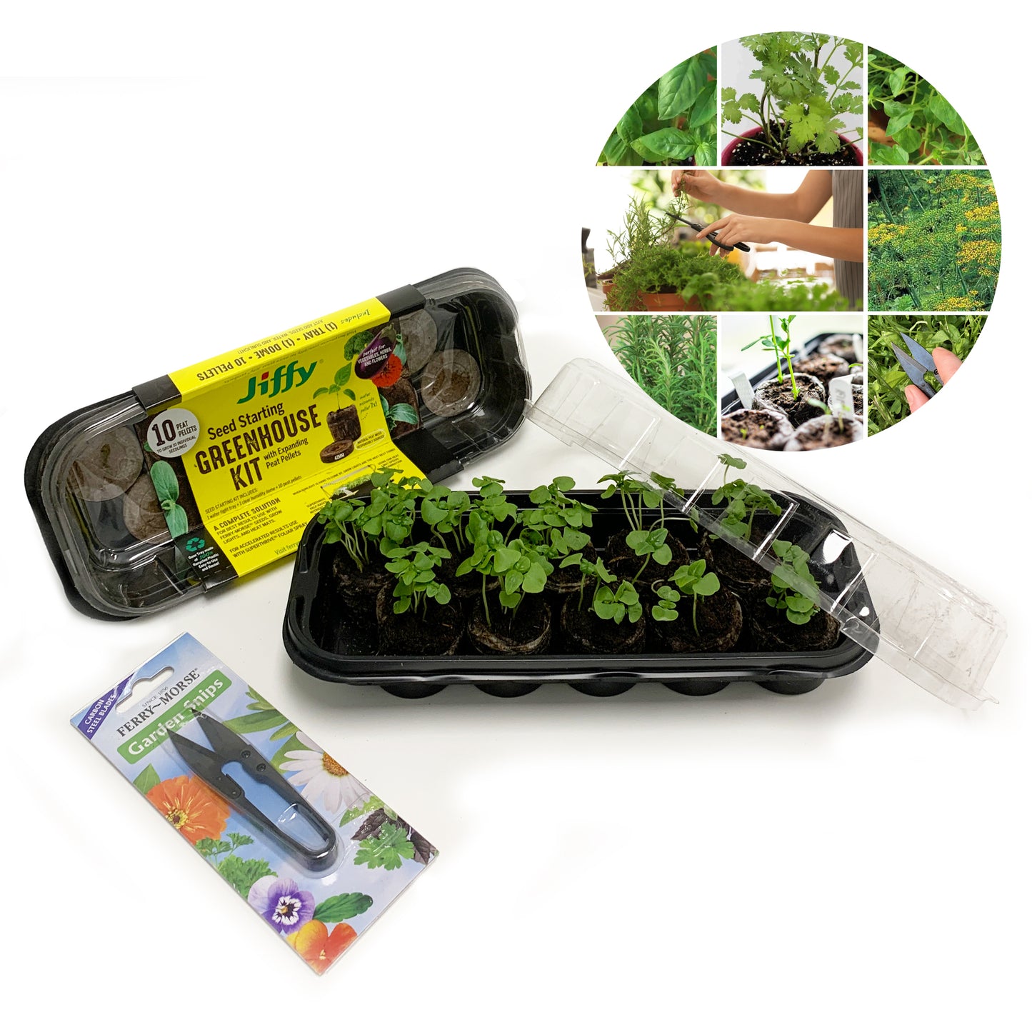 Grow-Your-Own Herbs Windowsill Garden Kit
