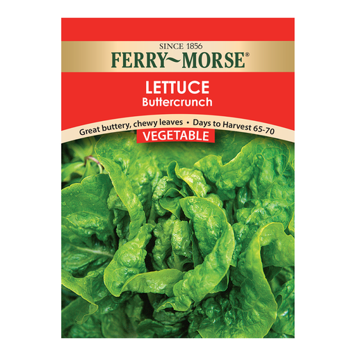 Lettuce Seeds, Buttercrunch
