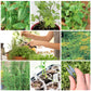 Grow-Your-Own Herbs Windowsill Garden Kit