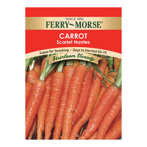Carrot Seeds, Heirloom Scarlet Nantes