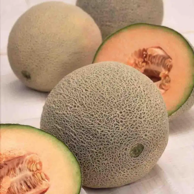 Cantaloupe