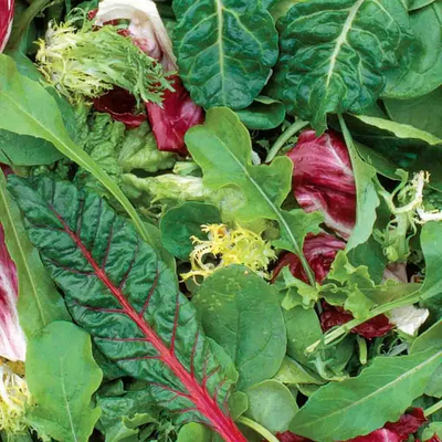 Mesclun