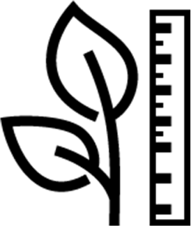 Height