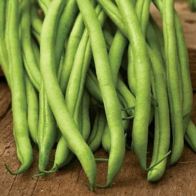 Beans