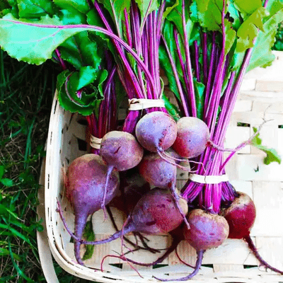 Beets