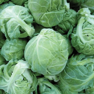 Brussels sprouts