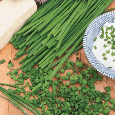 Chive