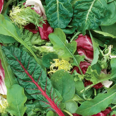 Mesclun