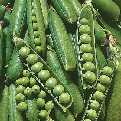 Peas