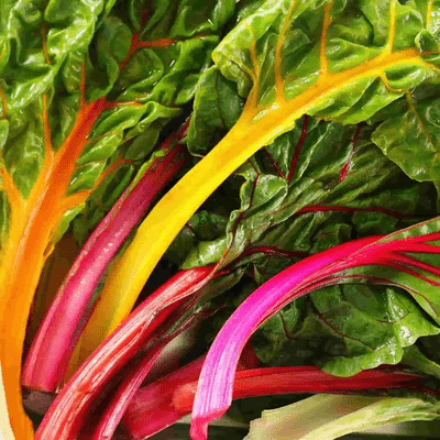 Swiss chard
